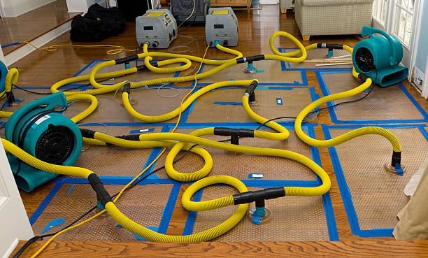 Professional Storm Water Damage Restoration technician working in Trout Lake, WA
